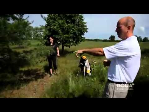 Rules of Golf – Rule #28 – Unplayable ball