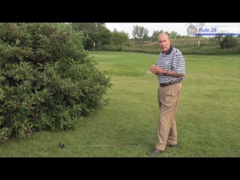 PGA Golf Tips: Golf Ball Rules – Rule 28: Unplayable Golf Ball