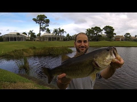 BASS FISHING (Florida Golf Course Pond) Dec./Jan.