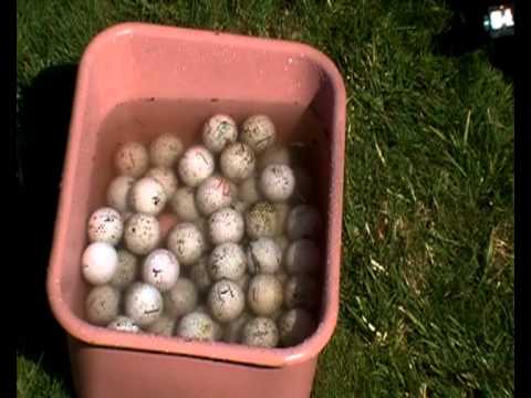 How To Clean Your Golf Balls