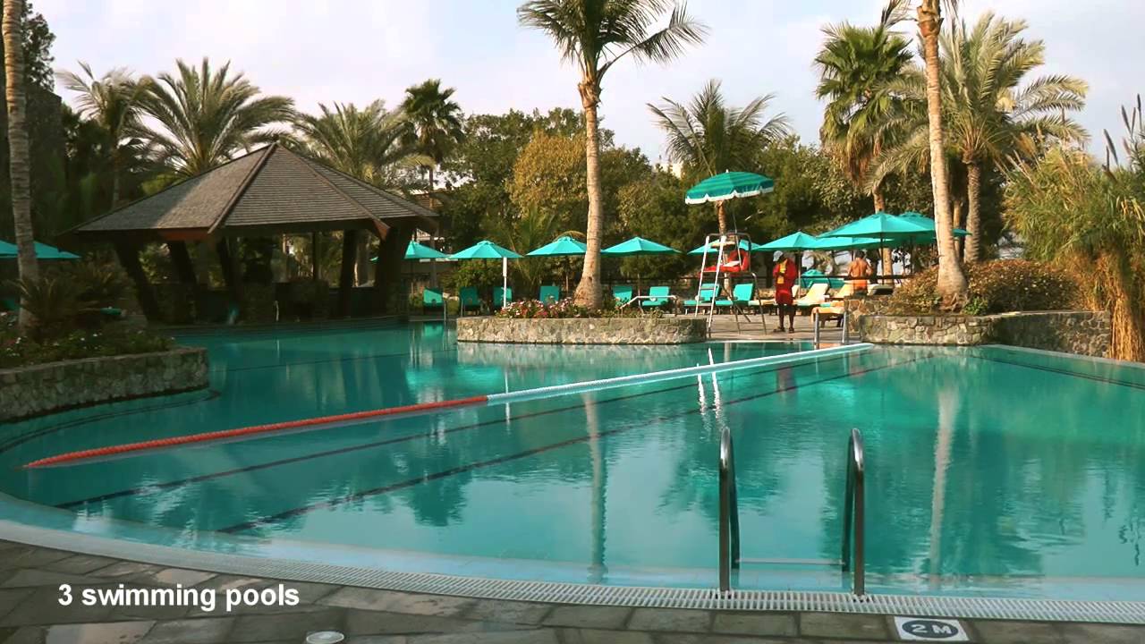 Jebel Ali Golf Resort Dubai | Jebel Ali Hotel & Palm Tree Court