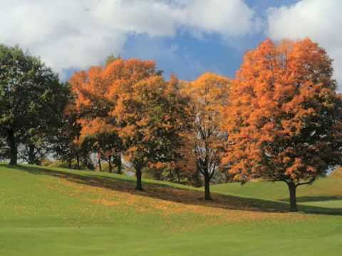 Ann Arbor Area Real Estate: Barton Hills Golf Course www.KathyToth.com