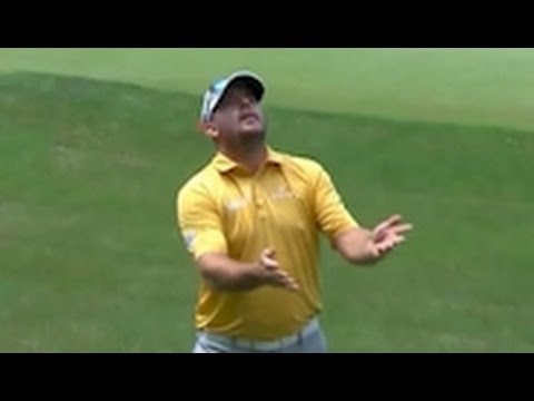 Top 15 Best Golf Shots 2016 Travelers Insurance PGA Tournament