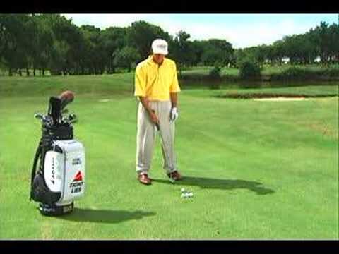 Golf Tip: The Basic Pitch; Hank Haney