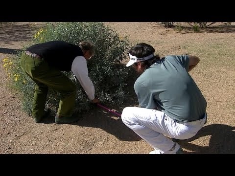 Bubba Watson seeks rules clarification at Waste Management