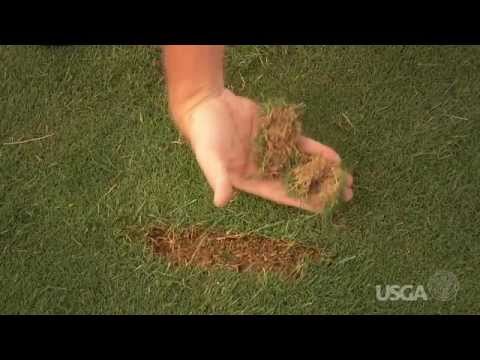 Fore The Golfer: Divot Repairs