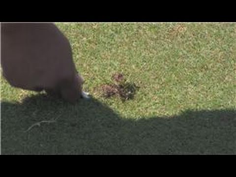 Golfing 101 : Etiquette for Repairing Ball Marks & Divots on the Green in Golf