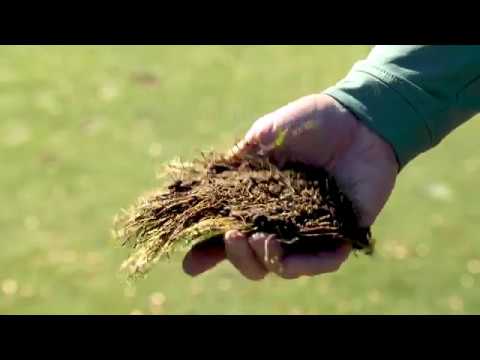 Fore The Golfer: Divots 101 – Know When to Repair or Replace