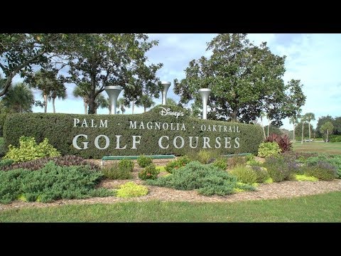 Playing at Disney's Palm Golf Course at Walt Disney World