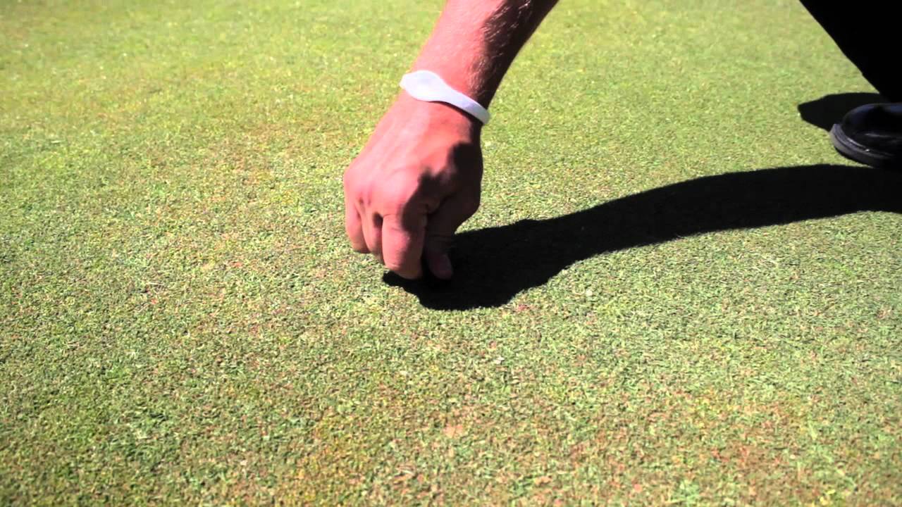 Rolling Green Country Club | Golf Cart Etiquette | Divot Repair