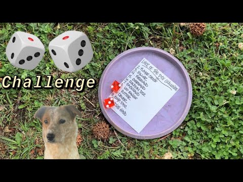 Disc Golf Dice Challenge