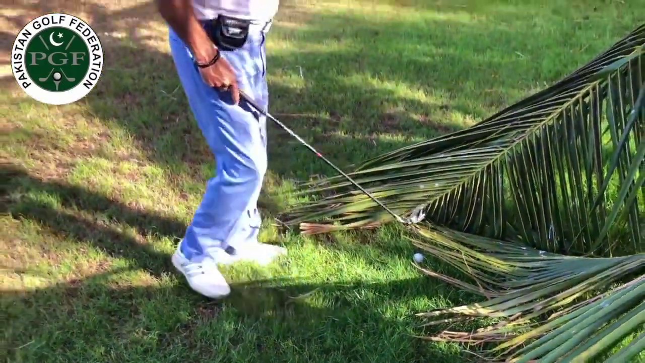 Golf Rule in Urdu, Play the course as you found