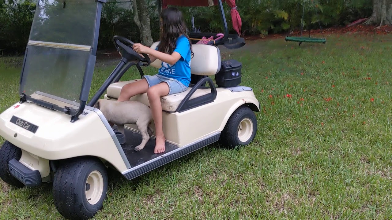 Ava and Binch in the golf cart