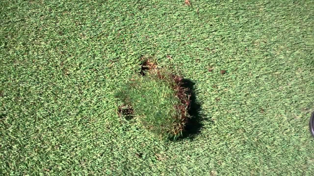 Golf Course Etiquette – Divots