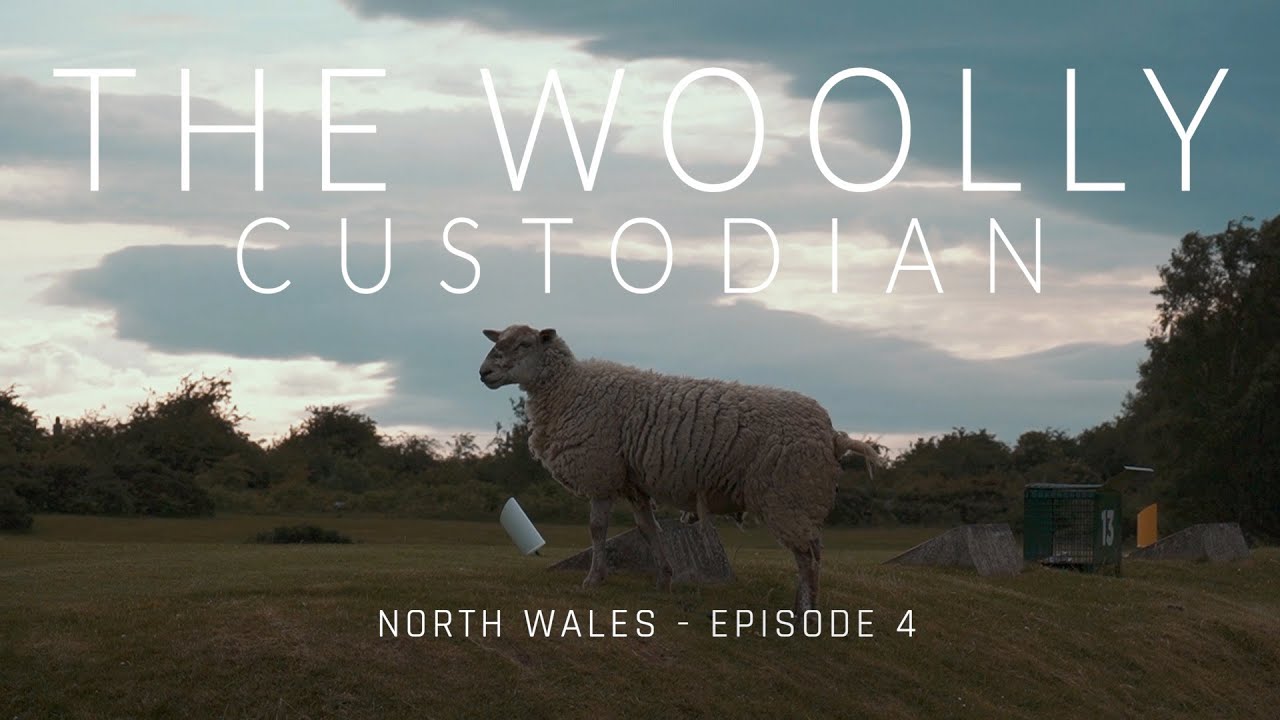 The Woolly Custodian – Holywell Golf Club – Episode 4