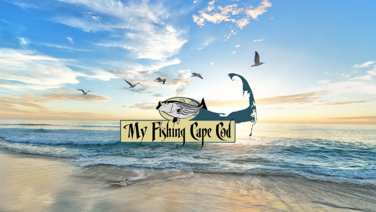 Cape Cod Fishing Report | Week of July 20th