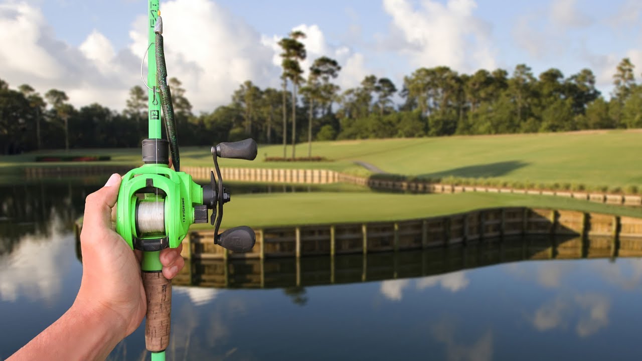 Catching 7lb Bass at PGA TOUR Golf Course Pond