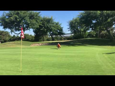 No headcovers is bad golf etiquette