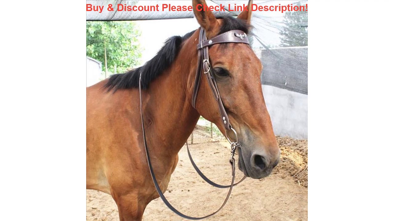 Review Adjustable Horse Riding Equipment Halter Horse Bridle Leather Cowhide Head Collar Headcollar