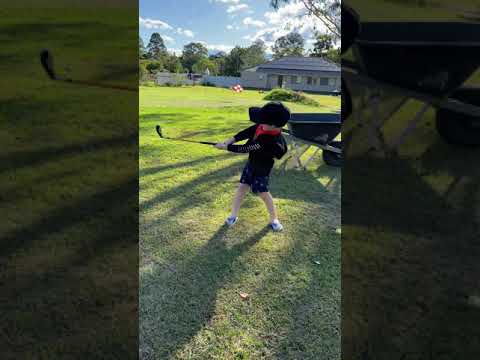 Billy playing fetch with the dogs