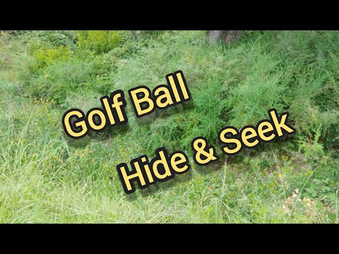 Golf Ball Hide & Seek