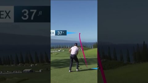 Unleashing the Power: Long Drive Techniques that Wow! #shorts #golf #golfswing #golfingworld