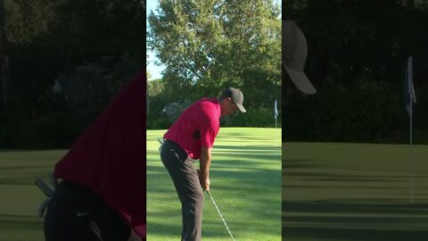 Super star Greenside Chipping Techniques　#shrots #sports #golf #tiktok