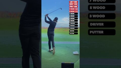 Most satisfying golf video ever