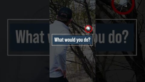 Declaring a Ball LOST in Golf