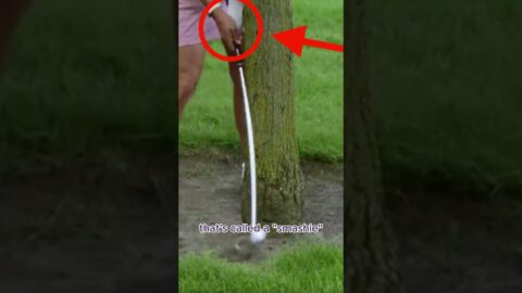 Old Golf Terms for Clubs