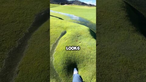 Golf course maintenance #science #funny #facts