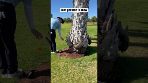 Crazy golf rule every player should know | golf rules