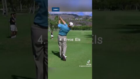 Top 5 best golf swings #golf #golfing #golfer #golfers #golfswing