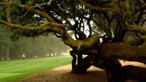 Bayonet&BlackHorse Golf Courses