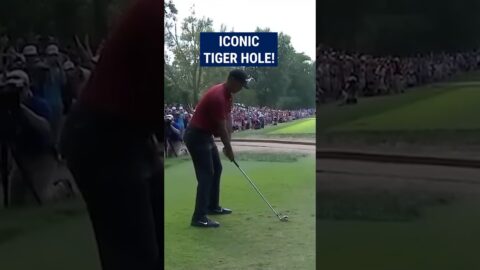 Tiger Woods’ final round MASTERY! 😱