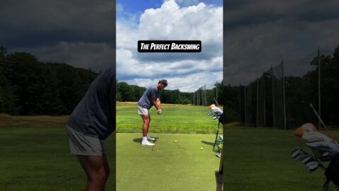 Making a Perfect Backswing