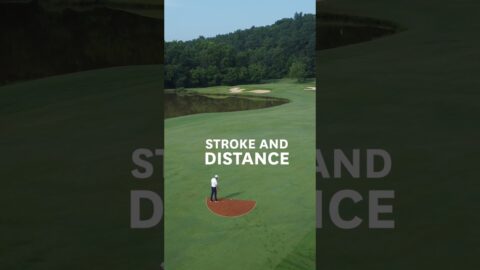 So you’ve hit it into a penalty area… What next? Here’s your options for relief #golf