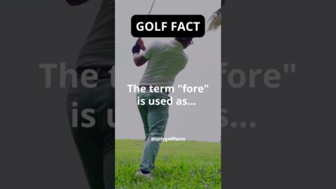 Do you know any other special golf terms ? Let us know in the comments 👇 #shorts # #golffacts #golf